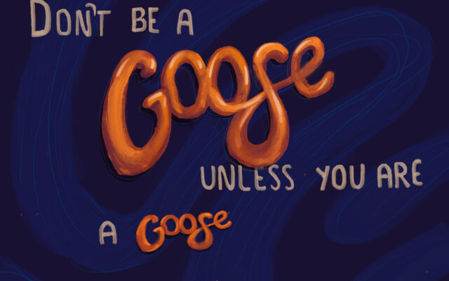 Don't be a Goose unless you are a Goose